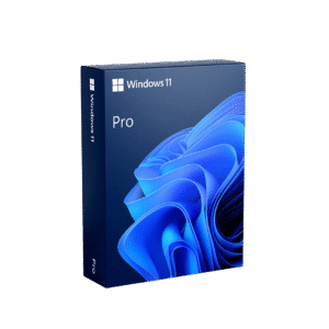 Windows 11 pro