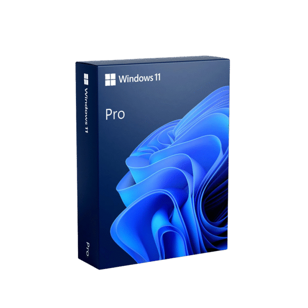 Windows 11 pro