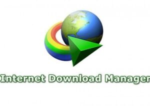 Internet Download Manager (IDM)
